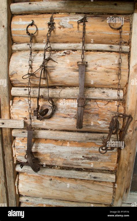 Trappers Cabin Hi Res Stock Photography And Images Alamy