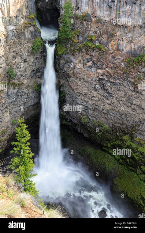 Canada British Columbia Wells Gray Provincial Park Spahats Creek