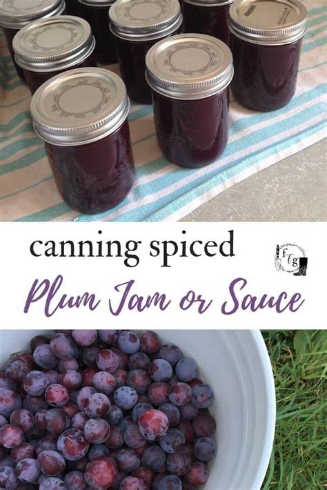 Spiced Plum Jam Recipe [For Canning] | Family Food Garden