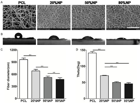 Characteristics Of Pcl And Np Pcl Electrospun Sheets Ratio Of