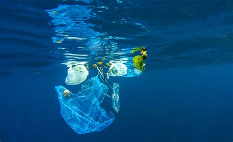 Lutter Contre Le Plastique Pour Sauver Les Océans Cette Solution