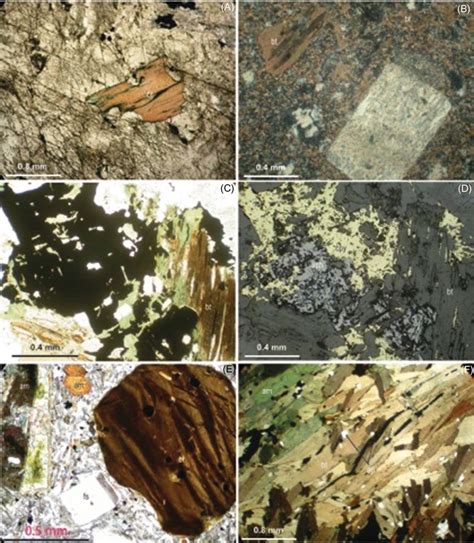 Photomicrographs Of Biotite Types From The Freegold Mountain Area A