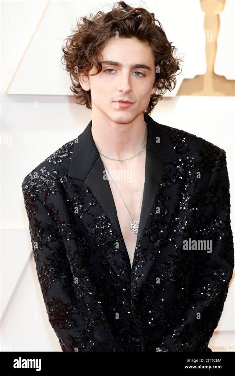 LOS ANGELES - MAR 27: Timothee Chalamet at the 94th Academy Awards at ...