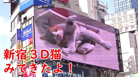 新宿3D猫巨大な三毛猫の立体映像観てきましたクロス新宿ビジョン YouTube