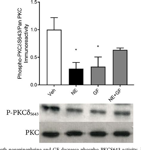 Figure From Norepinephrine Induces Bdnf And Activates Creb And