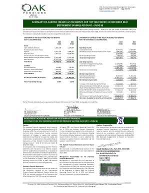 Fillable Online Summary Of Audited Financial Statements For Fax