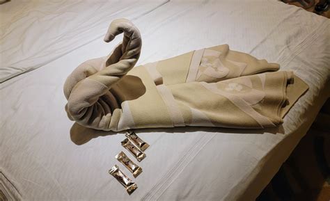 Mille Fiori Favoriti: Disney Wonder Cruise Along the Baja California