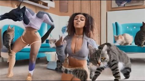 Doja Cat Dancing With Cats Youtube