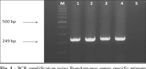 Figure From Fast And Specific Detection Of Pseudomonas Aeruginosa