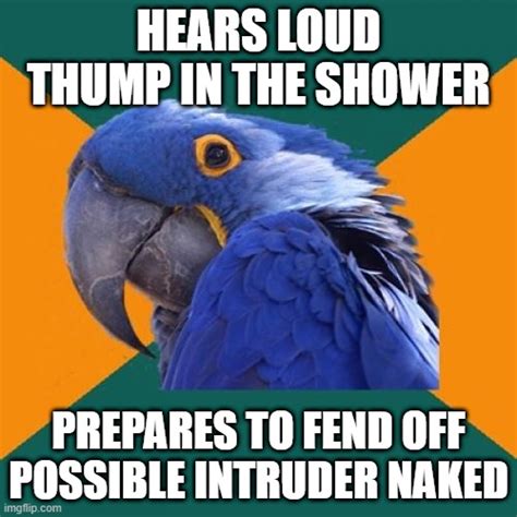 Paranoid Parrot Meme Imgflip