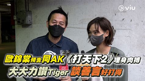 足本訪問：歐錦棠預告同ak《打天下2》埋身肉搏 大大力讚tiger 談善言好打得 Now 新聞