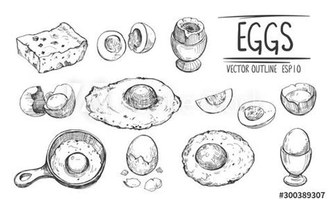 Eggs Sketches: Hand Drawn Illustration Vector