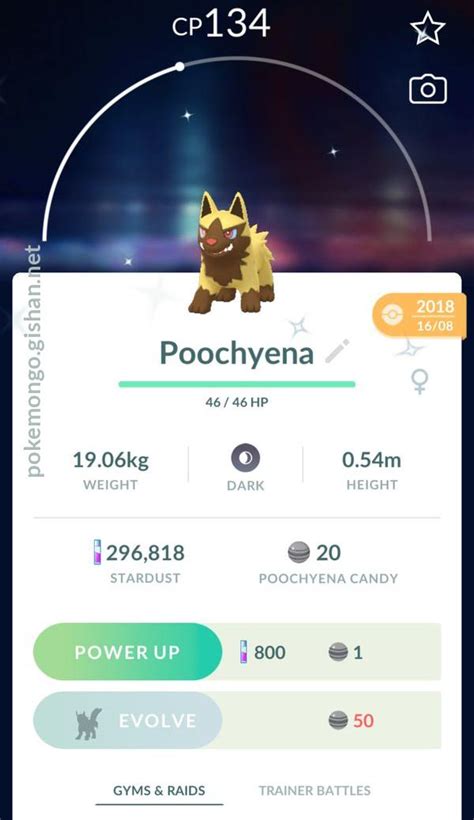 Poochyena - Pokemon Go