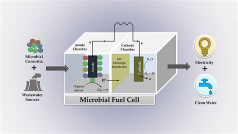 Water Free Full Text A Perspective Review On Microbial Fuel Cells In Treatment And Product