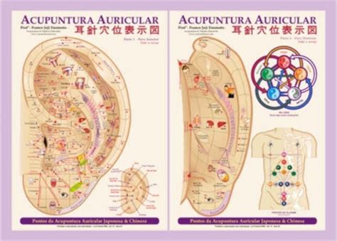 Mapa De Auriculoterapia Chinesa E Japonesa R Em Mercado Livre