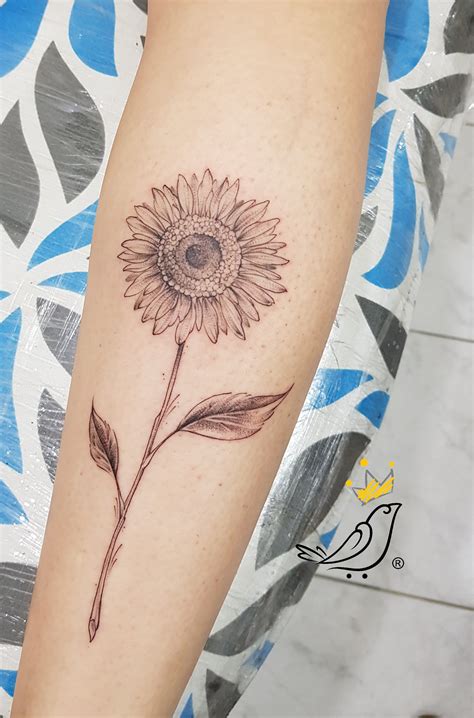 Tatuagem De Girassol Na Panturrilha Feminina Best Succulent Ideas