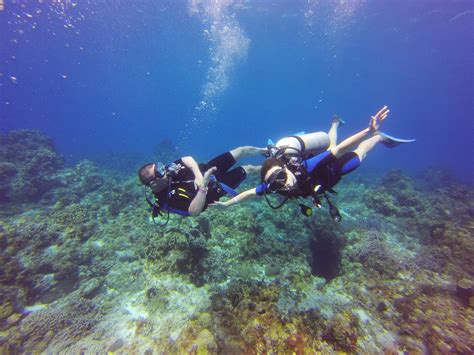 Dive Training Padi Certifications Pro Dive International