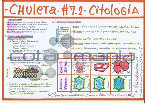 CELULA EUCARIOTA 01 ThinkMed UDocz