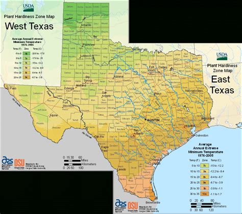 Texas Hardiness Zone Map - Free Printable Maps