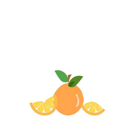 Premium Vector | Orange fruit vector illustration isolated on white ...