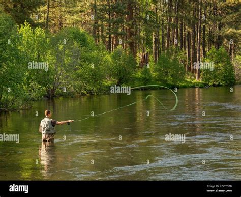 Fly Fishing On The Metolius River Central Oregon Stock Photo Alamy