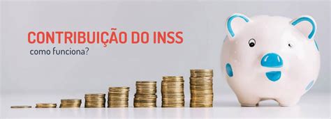 Entenda o que é e como funciona a contribuição do INSS Piello