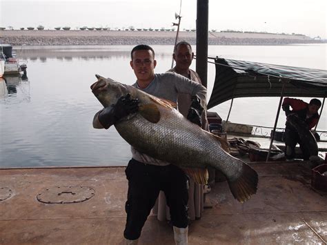 Nile Perch Caught In Lake Nasser Aswan Egypt Photo By A Flickr