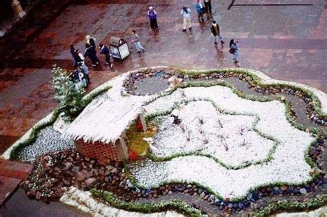 Hist Ricas Nevadas En Guanajuato Un Fen Meno Raro Pero Fascinante