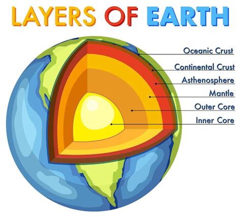 Diagrama Que Muestra Las Capas De La Litosfera Terrestre Vector Premium