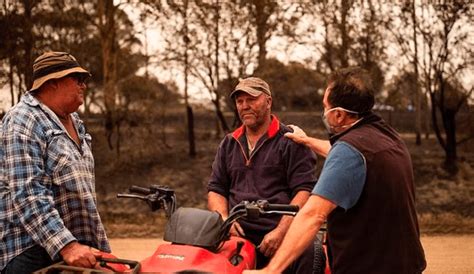 Incendios En Australia Granjero Sacrifica A 20 Vacas Heridas Durante