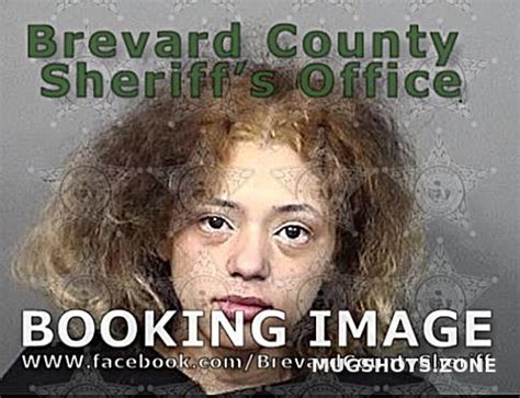 MEYER LYNNETTE MARIE 03 06 2021 Brevard County Mugshots Zone