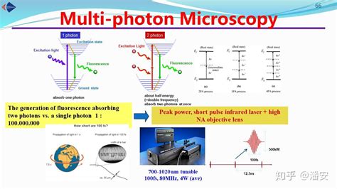 Pan Group生物光子学课程讲义（十）：非线性显微术 知乎