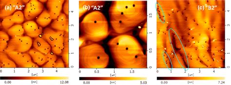 Afm Images Of Samples A And B A A M B A