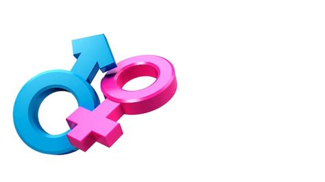 Premium Photo 3d Rendering Of Male And Female Sex Symbols That Are Equal Or Live Together