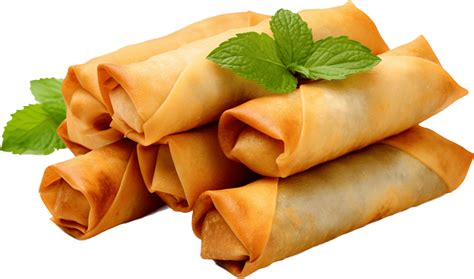 spring roll pngs