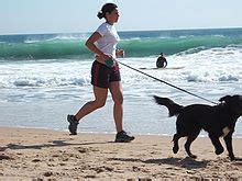 jogging sport wikipedia