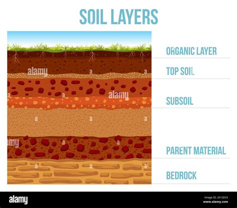 Infografik Bodenschicht Erdgeologie Bildung Grundgestein