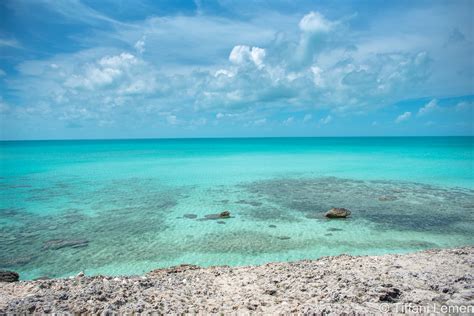 Eleuthera, Bahamas — Sweet Lemen Tea