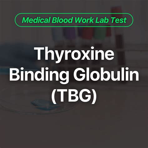 Thyroxine Binding Globulin (TBG) Blood Work Test - Wittmer Rejuvenation ...