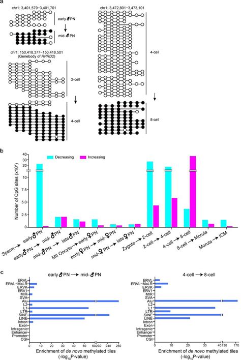 Main Features Of De Novo Dna Methylation In Human Early Embryos A The