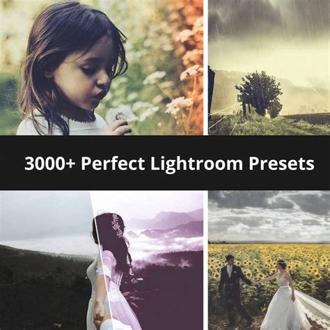 25 Perfect Skin Lightroom Presets Masterbundles