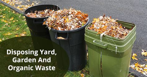 Yard Garden And Organic Waste Disposal Tips Essential Disposal