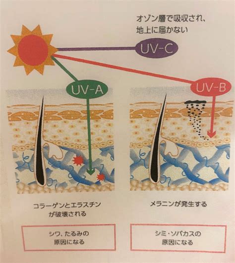 紫外線の基礎知識 ドクターズエステオーロラ