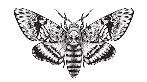 Discover 60 Butterfly Tattoo Black And White In Cdgdbentre