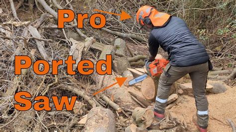 Pro Arborist Reacts Does He Love Or Hate My Ported Husky Chainsaws