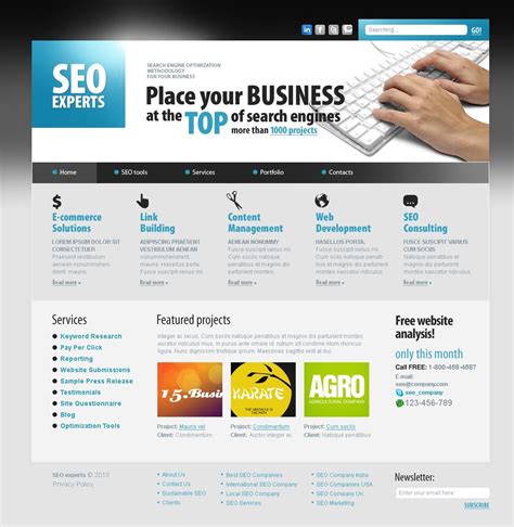 Seo Website Website Template 30073