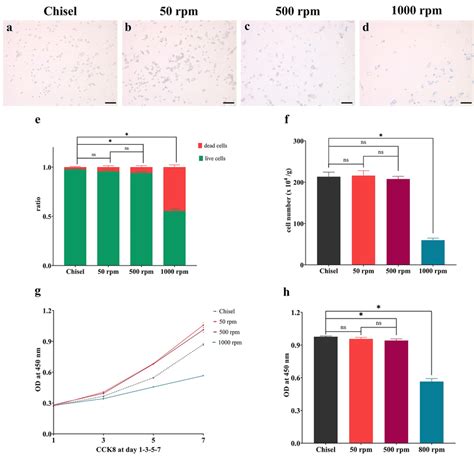 Cell Counting Viability And Proliferation A D Trypan Blue Staining