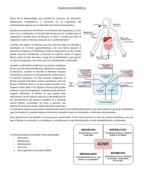 SOLUTION Farmacologia Farmacocinetica I Studypool