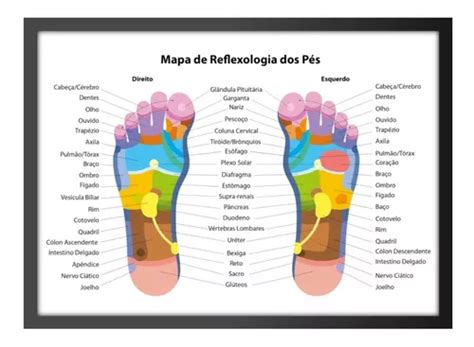 Quadro Podologia Reflexologia Reflexia Pés Podiatria Podal