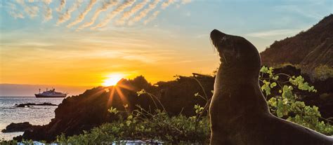 Galápagos Islands 12-Day Expedition Cruise | National Geographic ...